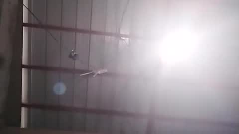 Snapshot of xasianbrowncockx chatting on 02.24.26 Bella Amor online show from 02.24.26