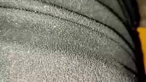 Snapshot of ximradiaz chatting on 11.23.25 ximradiaz online show from 11.23.25