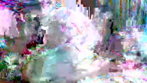 xixo6969 online show from 02.20.26