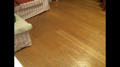 Snapshot of xmystiqdreamsx chatting on 01.26.25 xmystiqdreamsx online show from 01.26.25