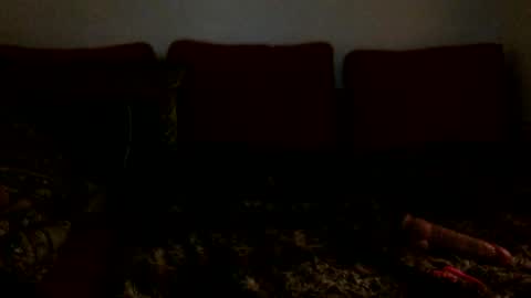 3 online show from 02.16.25