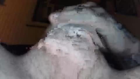 xoxossdfm8894982459 online show from 12.20.25