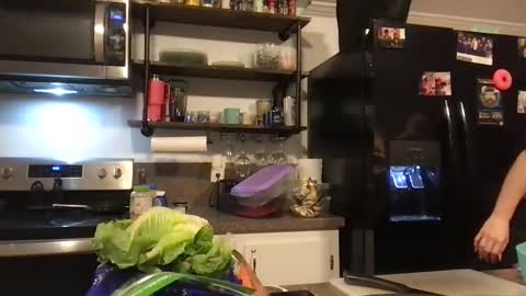 gdamnv online show from 12.24.24