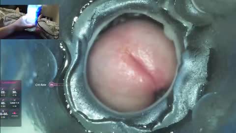 xoxowtf online show from 12.07.24