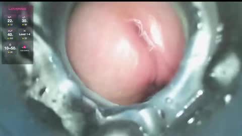 xoxowtf online show from 12.09.24