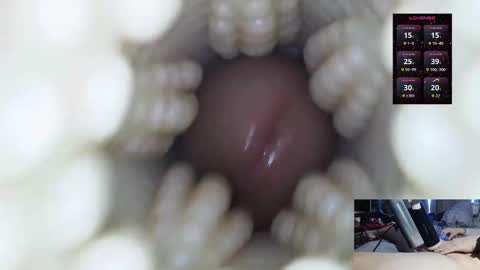 xoxowtf online show from 03.02.26