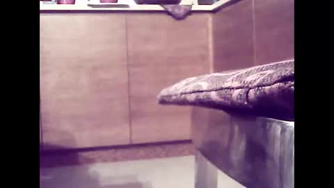 xsoul72 online show from 02.26.25