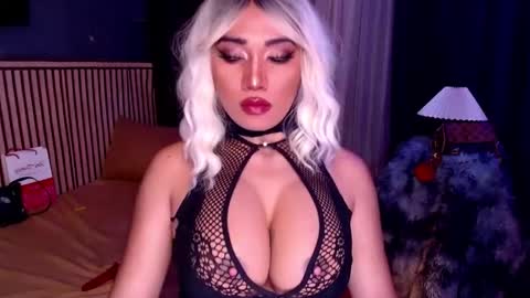 cinddy online show from 11.19.25