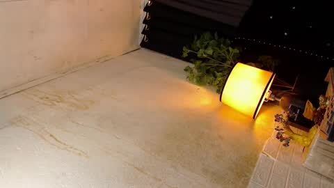 Sophie online show from 10.19.25