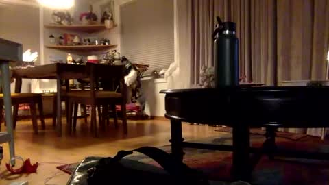 Snapshot of xxtina69x chatting on 12.02.24 yayalala online show from 12.02.24