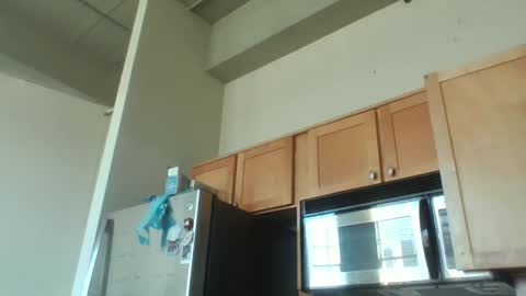 Danielle online show from 12.03.25