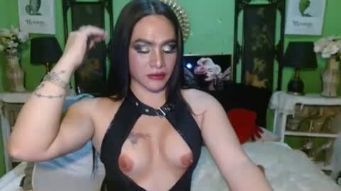 PAMPAM online show from 04.07.26