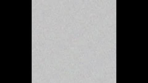 ScubaSteve online show from 03.09.25