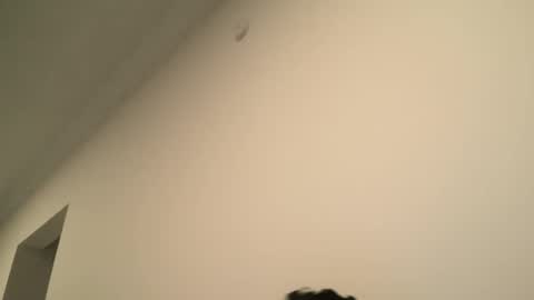 Dick  Ass online show from 02.15.25