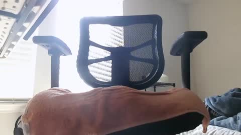 yahbuddy online show from 10.03.25