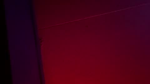 Ella Ts online show from 12.01.25