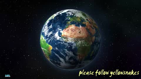 .     y e l l o w s n a k e s       . online show from 10.09.25