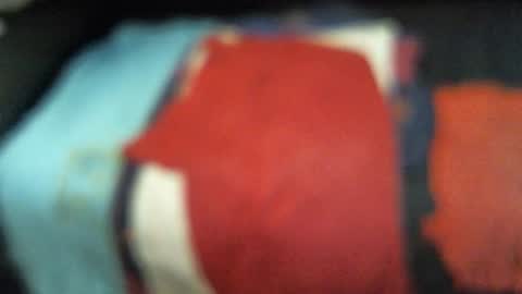 .     y e l l o w s n a k e s       . online show from 11.13.25