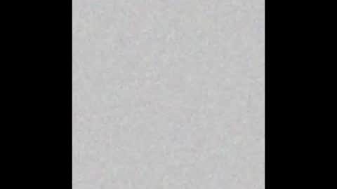 .     y e l l o w s n a k e s       . online show from 11.16.25