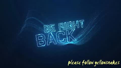 .     y e l l o w s n a k e s       . online show from 11.24.25