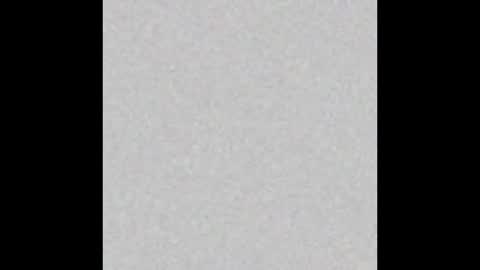 .     y e l l o w s n a k e s       . online show from 11.30.25