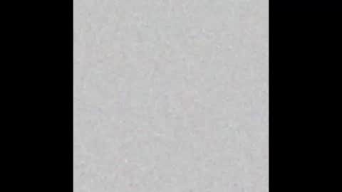 .     y e l l o w s n a k e s       . online show from 12.04.25