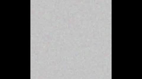 .     y e l l o w s n a k e s       . online show from 03.06.26