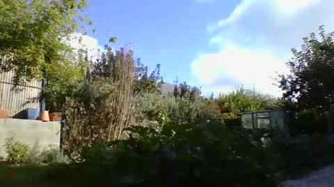 Snapshot of yoannsexmalo chatting on 10.09.25 Yoann online show from 10.09.25