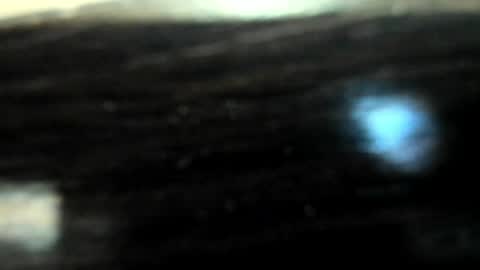 yoonhee_ki online show from 04.05.26