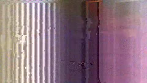 yorel64 online show from 02.16.25