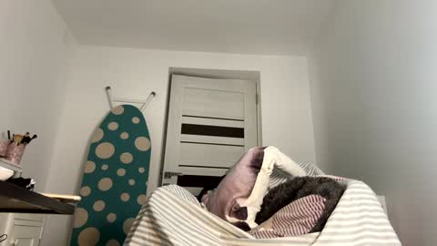 private on 18 per minute start private 500 tokensOnlyfans  online show from 01.09.25