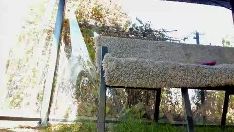 private on 18 per minute start private 500 tokensOnlyfans  online show from 11.02.25