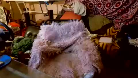 Taylor Tash online show from 10.20.25