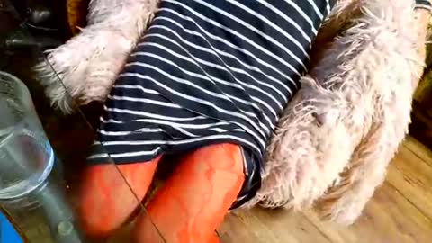 Taylor Tash online show from 12.01.25