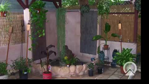 Sophiestar online show from 02.24.25