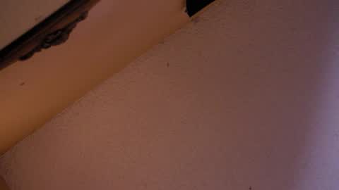 Sophiestar online show from 10.18.25