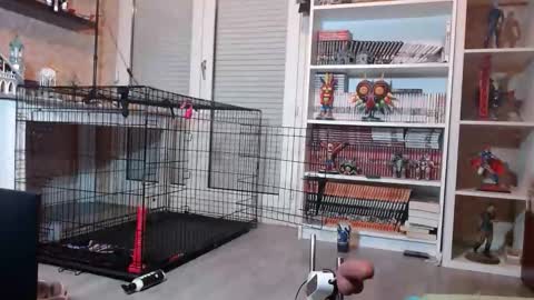 Owned by Hell On Heels online show from 02.19.26