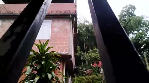 yourgodzeus online show from 03.03.25