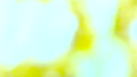 Edging4U online show from 10.13.25