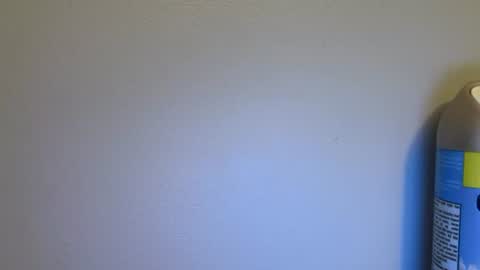 newcastle72 online show from 07.10.26