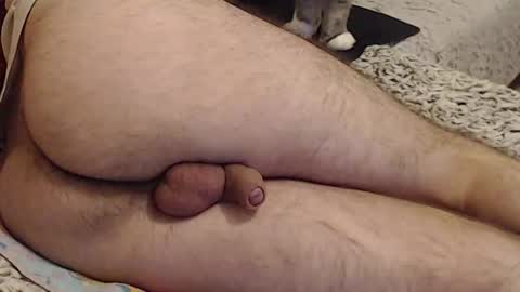 Yowlo online show from 09.22.25