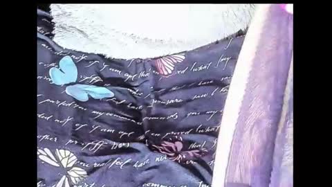 Yukio Davis  online show from 10.10.25