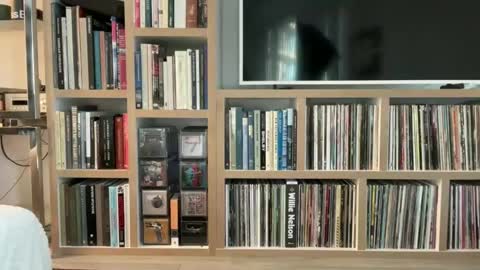 yumiandwolf online show from 03.05.25