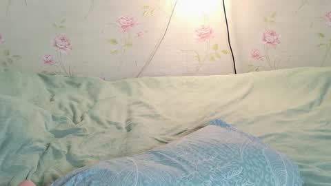 Polly online show from 03.18.26