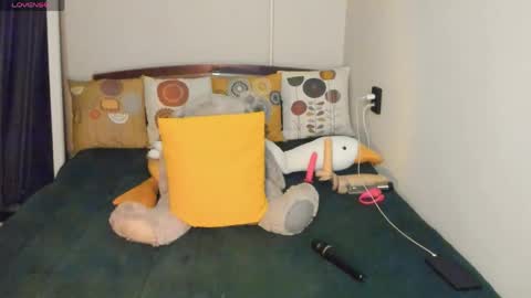 KIM online show from 04.22.26