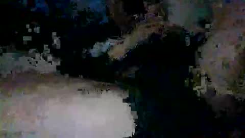 Snapshot of yungnympho25 chatting on 05.29.26 yungnympho25 online show from 05.29.26