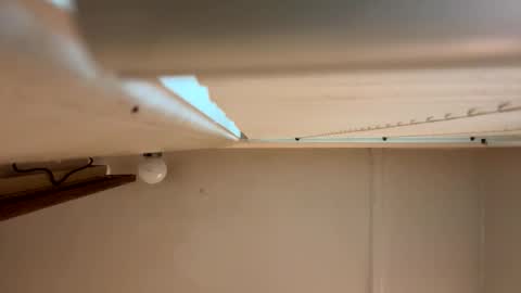 yungstudbev online show from 03.01.26