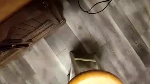 yupthatshim online show from 01.23.25