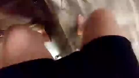 yupthatshim online show from 02.14.25