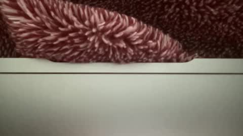 Snapshot of z95141 chatting on 10.22.25 z95141 online show from 10.22.25